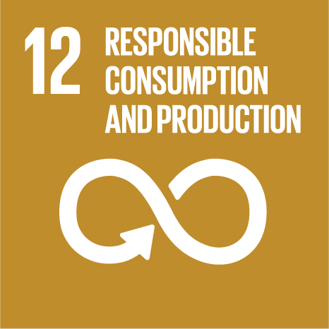 SDG 12 — Responsible Consumption